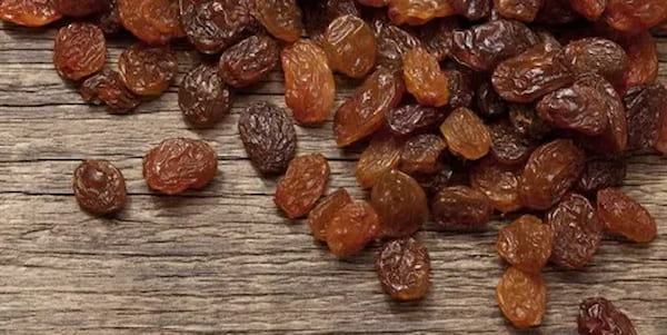 تصویر 3 از قیمت کشمش بیدانه با کیفیت + خرید باور نکردنی